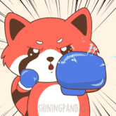 a cartoon of a red panda wearing blue boxing gloves with the words shiningpandas on the bottom