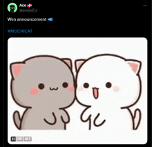 a cartoon of two cats standing next to each other with the caption " wen announcement "