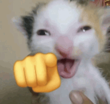 a cat is pointing at the camera with its mouth open and a yellow fist .