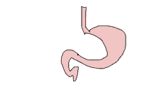 a drawing of a pink stomach with a black line going through it