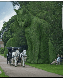 a horse drawn carriage is being pulled by a giant cat