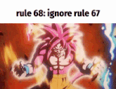 a picture of a cartoon character with the words rule 68 ignore rule 67 below it
