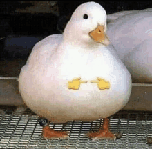 a white duck with a yellow smiley face on its belly is standing on a grid .