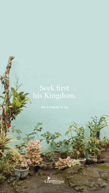 a poster that says seek first his kingdom with a picture of potted plants