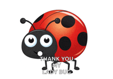 a cartoon ladybug says thank you my lady bug