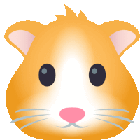 an illustration of a hamster 's face with a pink nose and whiskers