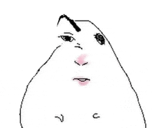 a black and white drawing of a person 's face with a beard and a pink nose .