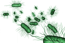 a group of green bacteria are floating in the air