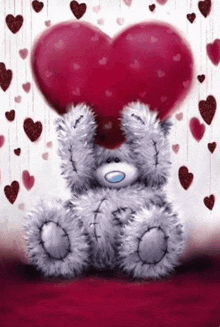 a teddy bear is holding a red heart in front of his eyes .