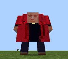 a man in a red coat is standing in a field of grass