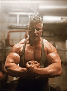 a muscular man in a tank top with the word harley davidson on the front