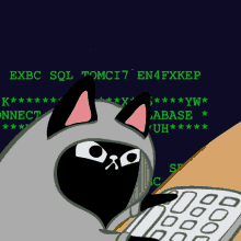 a cartoon cat is using a calculator with a screen that says exbc sql tomcit