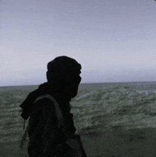 a silhouette of a person standing on a beach near the ocean