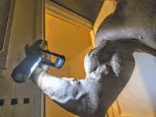 a man 's arm is shown with a flashlight in it