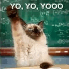 a siamese cat is sitting at a desk in front of a blackboard with its paw in the air .