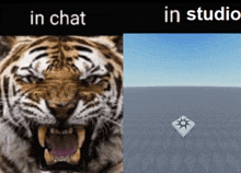 a picture of a tiger and a picture of a cube with the words in chat in studio