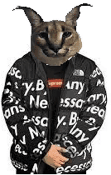 a cat with a supreme jacket on is standing next to a man .