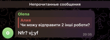 a screenshot of a conversation between olena and aliy