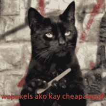 a black cat is holding a nail file with the words wapakels ako kay cheapanga written below it