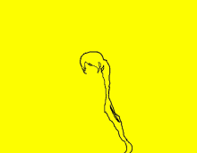 a yellow background with a black line drawing of a person 's head