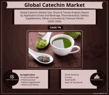 an advertisement for the global catechin market