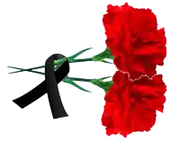 two red carnations with a black ribbon between them