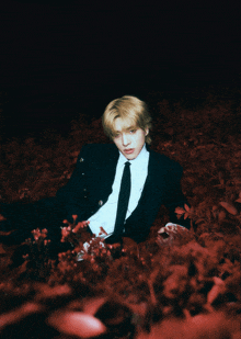 a man in a suit and tie is laying on the ground surrounded by red flowers