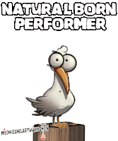 a cartoon bird is standing on a wooden post with the words natural born performer written above it