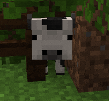 a black and white cow in a minecraft world