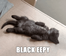 a black kitten laying on its back with the words black eepy above it