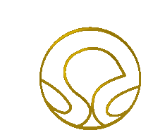 a gold circle with the letter s inside