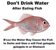 a picture of a fish with the words " do n't drink water after eating fish " on it