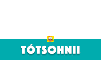 the word totsohnii is on a blue and white background