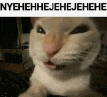 a cat making a funny face with the words nyehehhejehejehehe written above it