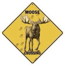 a moose crossing sign with a moose on it