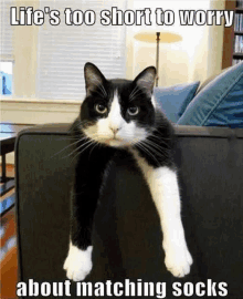 a black and white cat is sitting on a couch with the caption life 's too short to worry about matching socks .