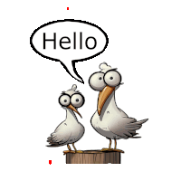 two seagulls are standing next to each other and a speech bubble says hello