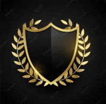 a black shield with gold laurel wreath around it on a black background