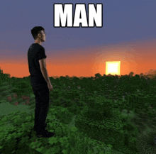 a man in a black shirt is standing in a minecraft world looking at the sun