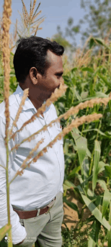 a man in a white shirt is standing in a field