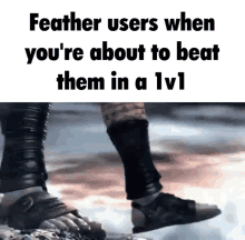 feather users when you 're about to beat them in a lv1 meme