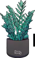 a drawing of a plant in a black pot with the word feely on it