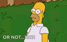 homer simpson from the simpsons is standing in the grass and says `` or not ... ? ! ? '' .