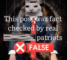 a man in a suit and tie has a picture of a cat on his face and says this post was checked by real patriots