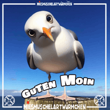 a seagull is standing on a wooden post with the words guten moin written below it