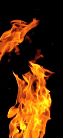 a close up of a fire with a black background