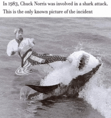 a black and white photo of a man kicking a shark