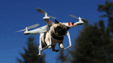 a pug dog is being flown by a drone in the sky