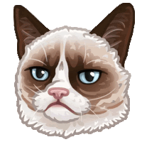 a drawing of a grumpy cat 's face with blue eyes