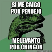 a picture of a dinosaur with the words `` si me caigo por pendejo me levanto por chingon '' written on it .